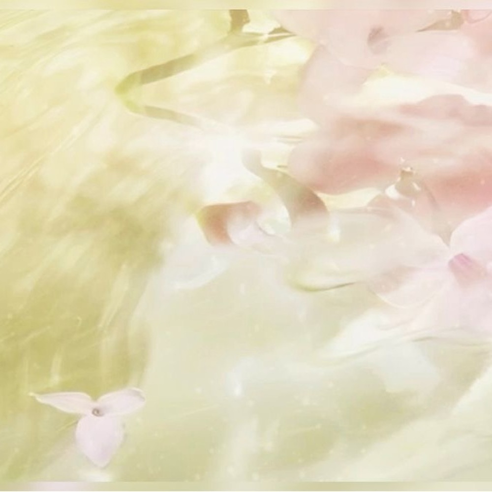 Meet your Posher, Mariem